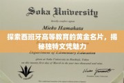 探索西班牙高等教育的黄金名片，揭秘独特文凭魅力
