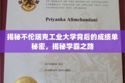 探秘不伦瑞克工业大学，学霸背后的惊人成绩单揭秘