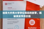探索约克大学学位的奥秘，揭开学历背后的真实价值面纱