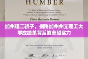 加州理工精英，解码州立理工辉煌成就的秘密武器