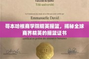 解码哥本哈根商学院，培养未来商业领袖的神秘文凭之路