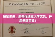 驾驭未来潮流，新布伦瑞克大学文凭，助你畅游职场新境界！