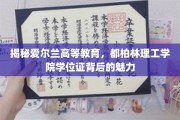 探索都柏林理工学院，学位证书背后的独特魅力