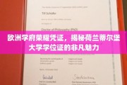 荷兰蒂尔堡大学学位证，探寻欧洲名校的荣耀印记与独特风采