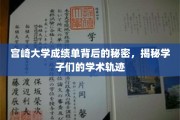 宫崎大学成绩单深藏之谜，一窥学子们的学术成长之路