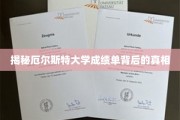 揭秘，厄尔斯特大学成绩单背后的神秘面纱