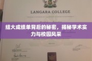 解码纽大成绩单，探寻学术辉煌与校园魅力之谜