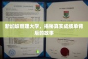 揭开新加坡管理大学成绩单背后的神秘面纱