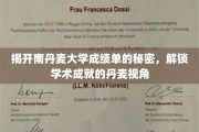 丹麦视角揭秘，南丹麦大学成绩单背后的学术密码