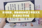 都柏林理工学院文凭，闪耀全球，开启无限可能的教育明珠