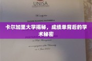 揭开卡尔加里大学成绩单背后的学术奥秘