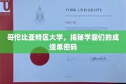 哥伦比亚特区大学，揭秘学霸们的成绩单密码