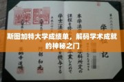 斯图加特大学成绩单，解码学术成就的神秘之门