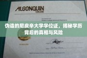 伪造学位证背后的隐秘真相，尼皮辛大学学历的疑云与风险解析