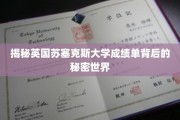 解码苏塞克斯大学成绩单，揭开学术成就的神秘面纱