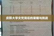 庆熙大学文凭，成就背后的辉煌与考验