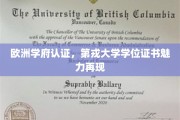 欧洲名校认可，第戎大学学位证书焕新光彩