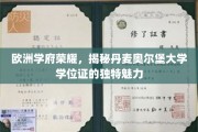 丹麦奥尔堡大学学位证，探寻北欧教育瑰宝的独特印记