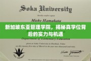解码新加坡东亚管理学院，真学位背后的无限潜力与挑战