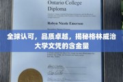 国际通行证，格林威治大学文凭背后的强大价值解析