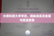 解码水原科技大学，学历价值揭秘与未来职场展望