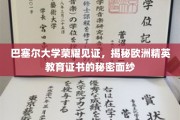 巴塞尔大学精英认证之谜，揭开欧洲教育精英证书的神秘面纱