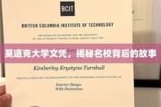 名校光环下的真实面纱，莫道克大学文凭背后的不为人知故事