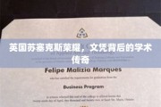 苏塞克斯荣耀，揭秘文凭背后的学术传奇之路