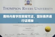 鹿特丹商学院，解锁全球商界通行证的关键钥匙