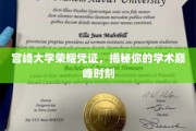 宫崎大学荣耀见证，解锁你的学术巅峰瞬间