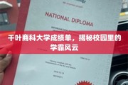 校园学霸榜，千叶商科大学成绩单背后的风云故事