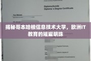 解码哥本哈根信息技术大学，闪耀欧洲的IT教育新星
