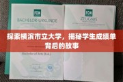 横滨市立大学成绩单，揭开学术成就的神秘面纱