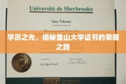 釜山大学证书荣耀，学历之光背后的非凡旅程