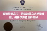 学历逆袭之谜，揭秘伪造加图立大学文凭的秘密通道
