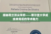 探秘蒂尔堡大学，揭秘成绩单背后的学术魅力与卓越风采