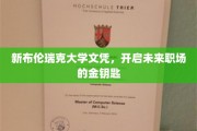 掌握新布伦瑞克荣耀文凭，解锁职场辉煌之门
