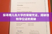 鹿儿岛大学学位证背后的传奇，一探究竟的神秘印记