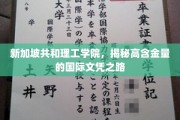 探索新加坡共和理工学院，解锁全球认可的卓越文凭之旅