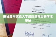 探索史蒂文森大学成绩单的深层学术密码