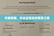 华威精英养成记，毕业证背后的荣耀征程