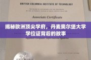 欧洲精英学府揭秘，丹麦奥尔堡大学学位证背后的非凡旅程