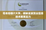 解码哥本哈根IT大学，全球信息技术教育的翘楚之路