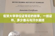 佐贺大学学位证，见证奋斗与汗水的荣耀篇章