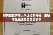 探寻德克萨斯大学达拉斯分校成绩单的奥秘，学子成就背后的真实故事