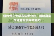 探寻纽约州立大学布法罗分校，文凭背后的学术风采与魅力