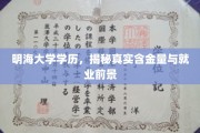 解码明海大学学历价值，揭秘就业实力与未来前景