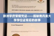 探寻南丹麦大学学位证的荣耀奥秘，欧洲学府的荣誉凭证解析