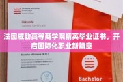 法国威勒精英毕业证，助你迈入国际职场新境界