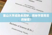 釜山学霸养成记，揭开成绩单背后的神秘面纱